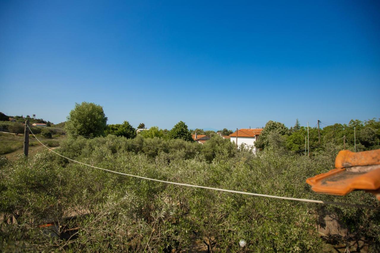 Villa Vergia Sozopoli Bagian luar foto
