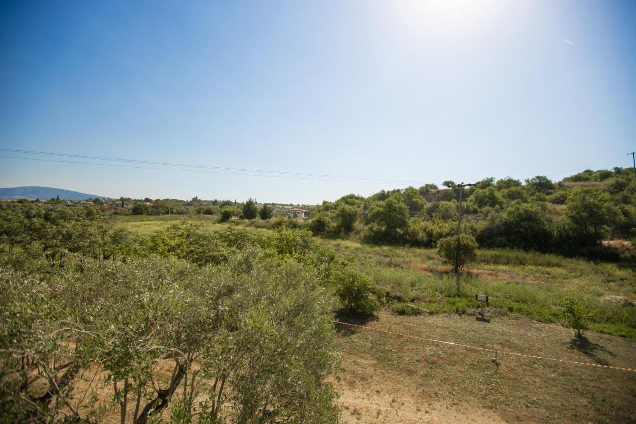 Villa Vergia Sozopoli Bagian luar foto
